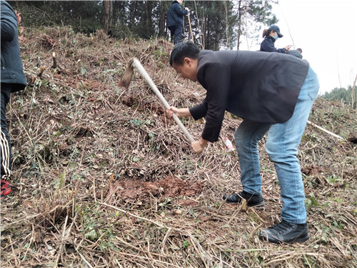 背簍人家植樹(shù)節