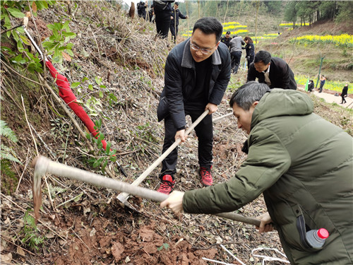 背簍人家植樹(shù)節