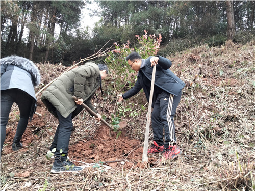 背簍人家植樹(shù)節